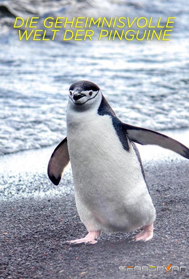 Секреты пингвинов / Secrets of the Penguins (2025)