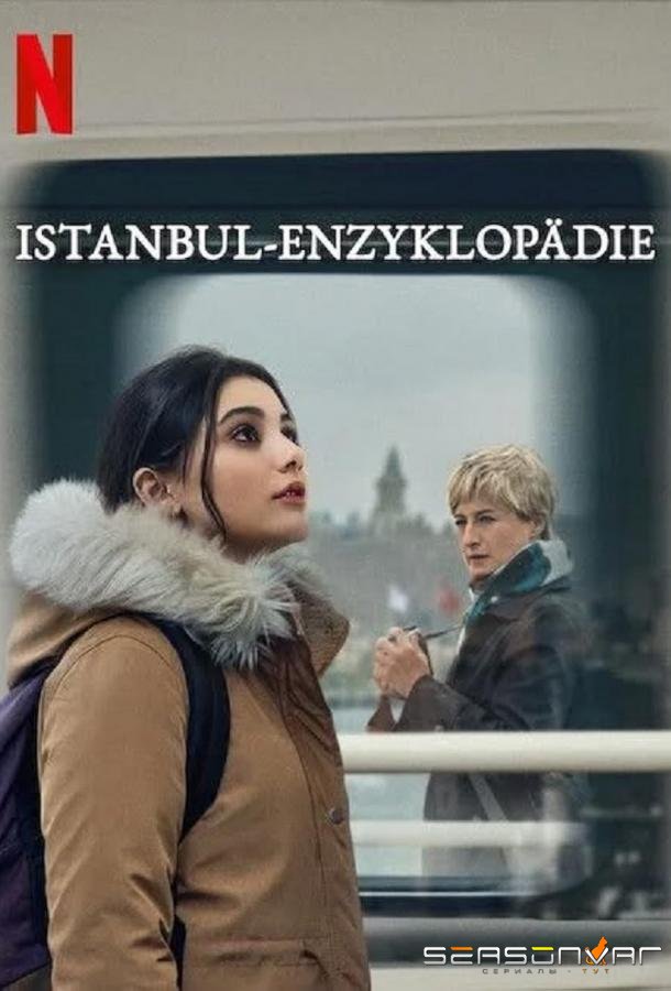 Энциклопедия Стамбула / Istanbul Ansiklopedisi (2025)