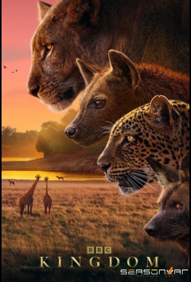 Царство животных / Kingdom (2025)