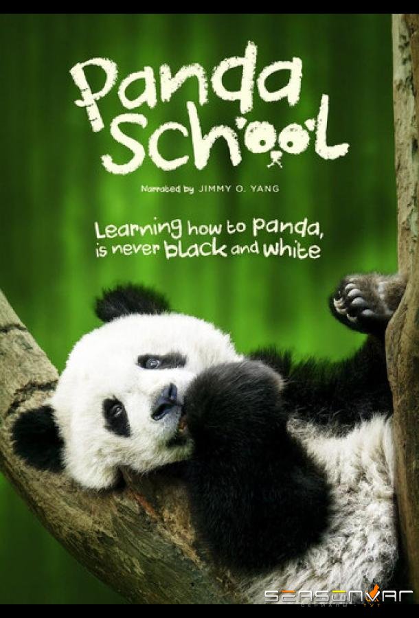 Школа панд / Panda School (2026)
